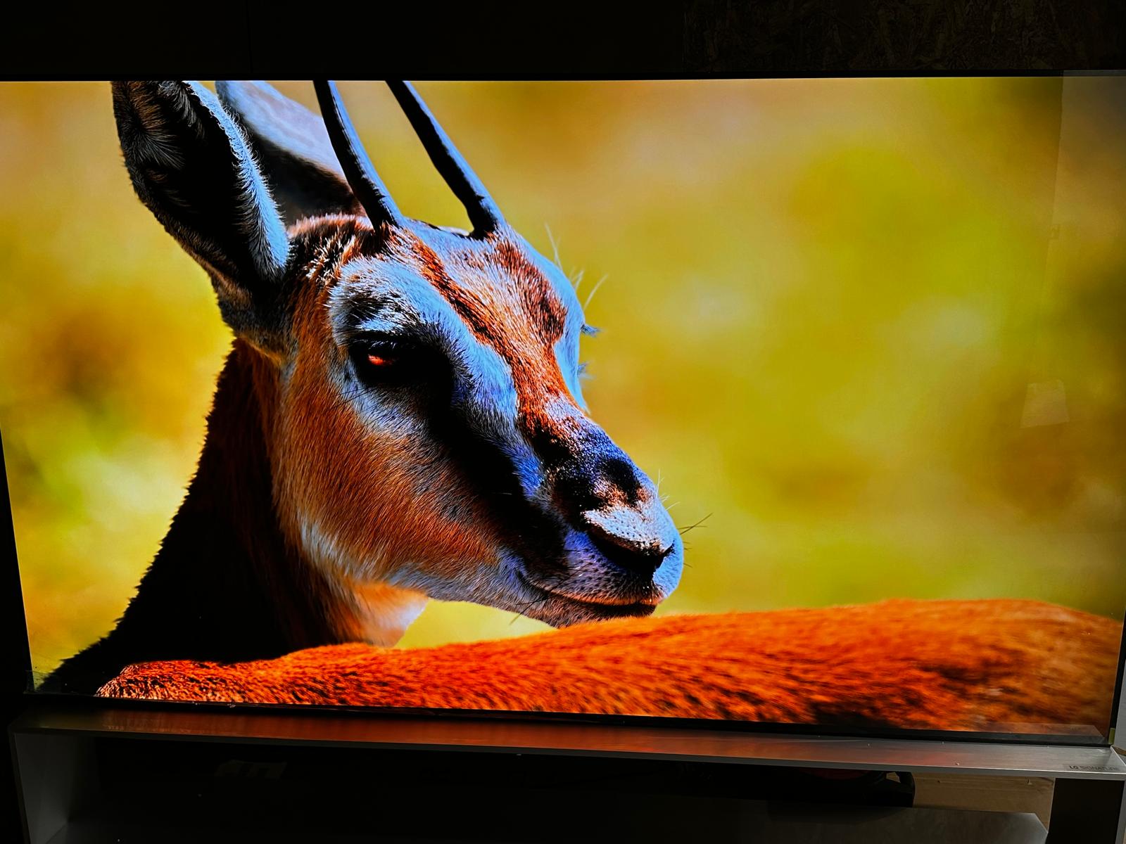 LG OLED88Z39LA 88" OLED Evo 8K Ultra HD HDR Smart TV Freeview Play Freesat - Image 14