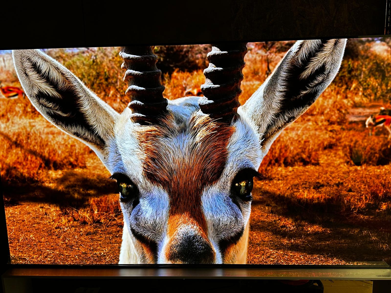 LG OLED88Z39LA 88" OLED Evo 8K Ultra HD HDR Smart TV Freeview Play Freesat - Image 15