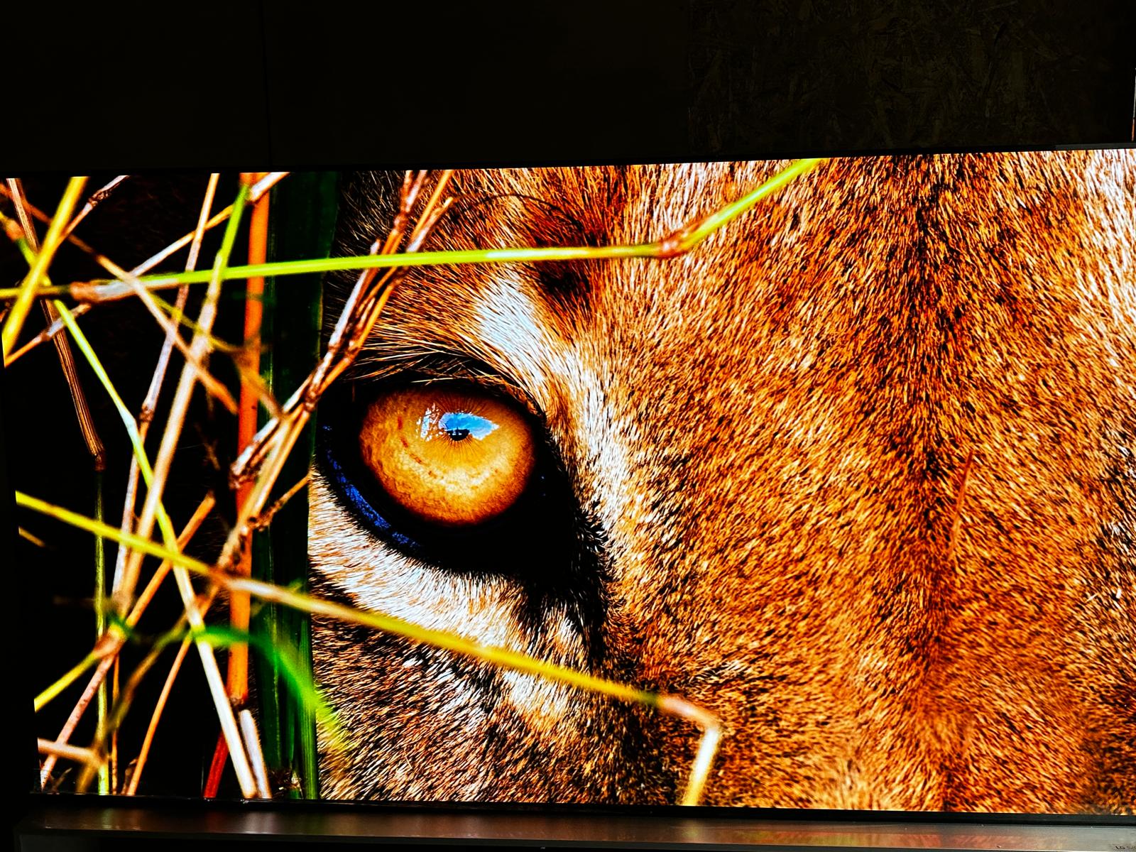LG OLED88Z39LA 88" OLED Evo 8K Ultra HD HDR Smart TV Freeview Play Freesat - Image 13